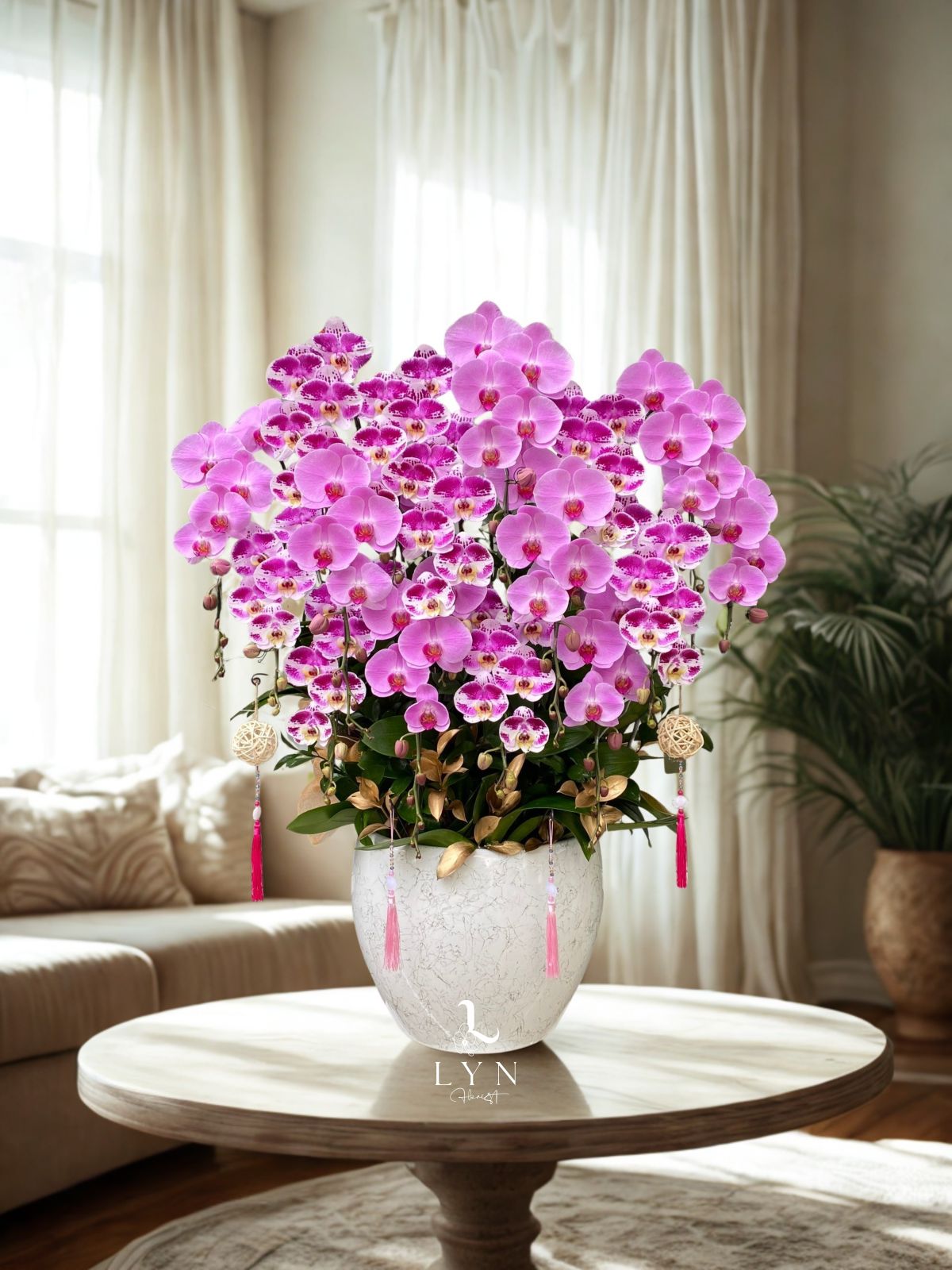 Chậu Hoa Lan Hồng Phối Màu